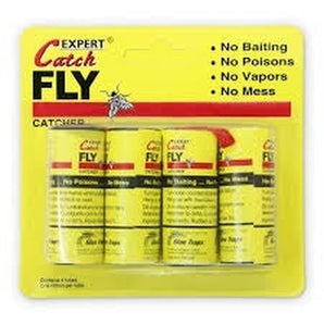 Expert Catch Fly Catch